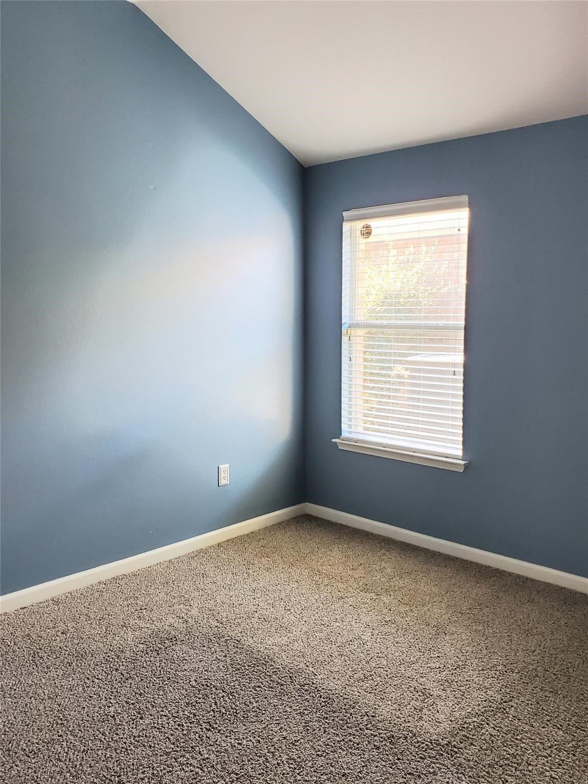 313 Magnolia Drive Fate TX 75087