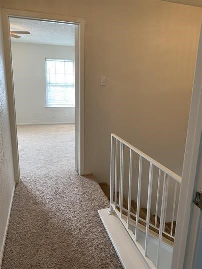 2739 Patricia Lane Garland TX 75041