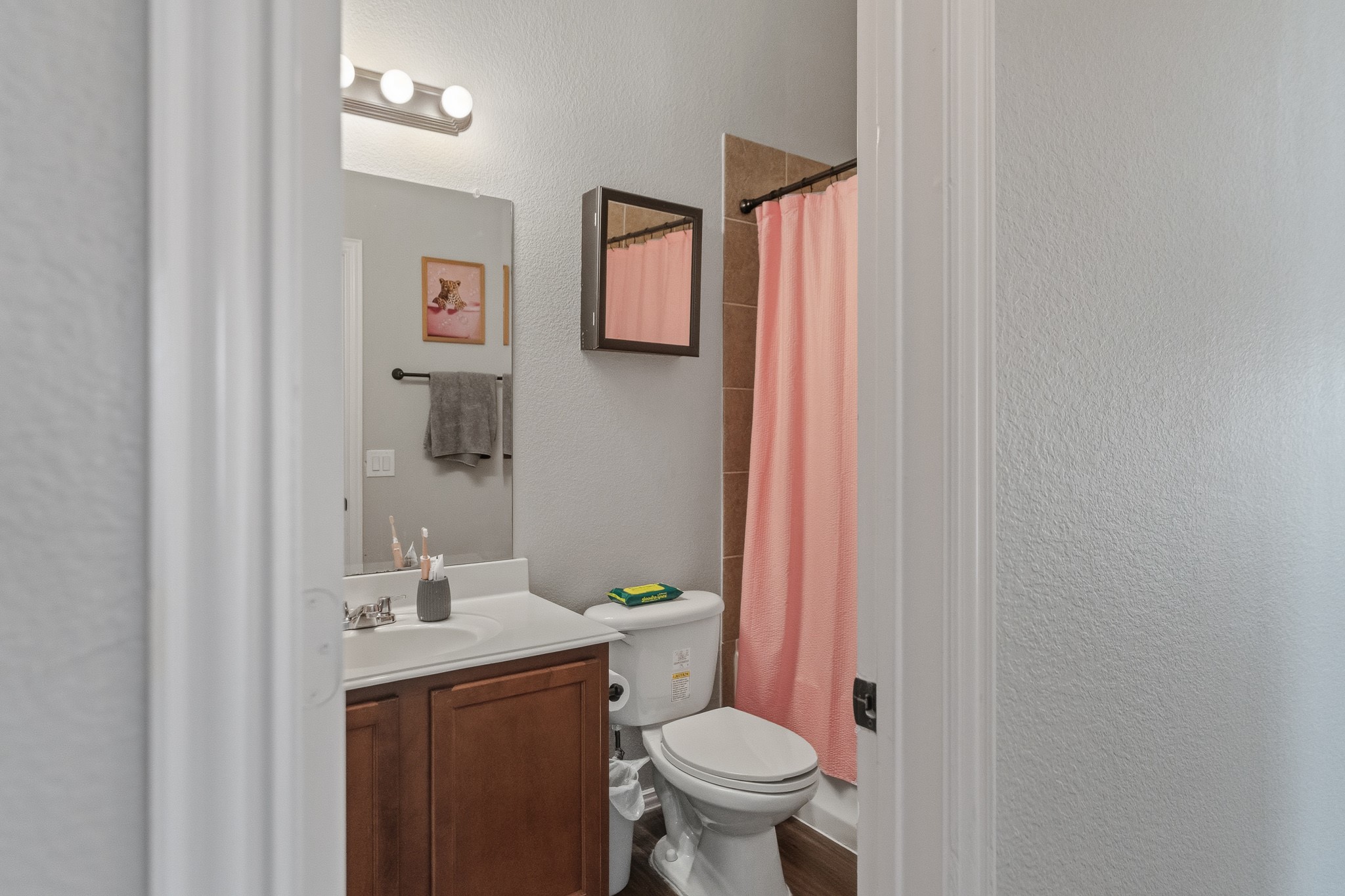 2616 Pine Trail Drive Little Elm TX 75068