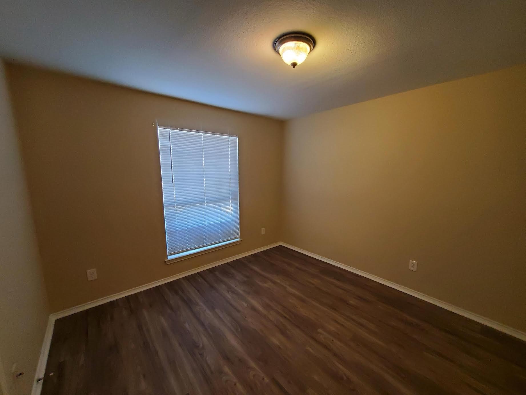 2006 Bumelia Court Dallas TX 75253