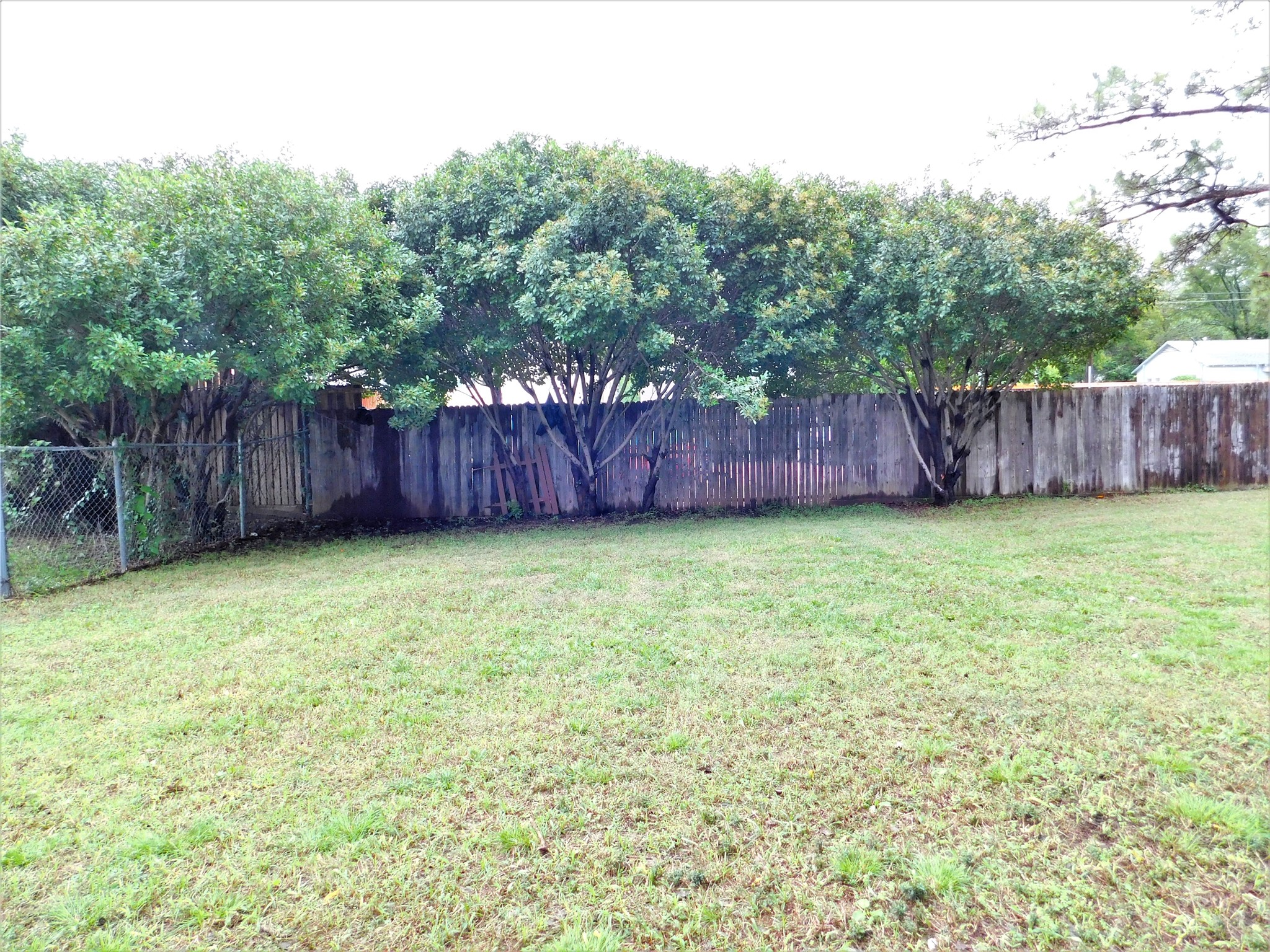 1007 W Collins Street Denton TX 76201