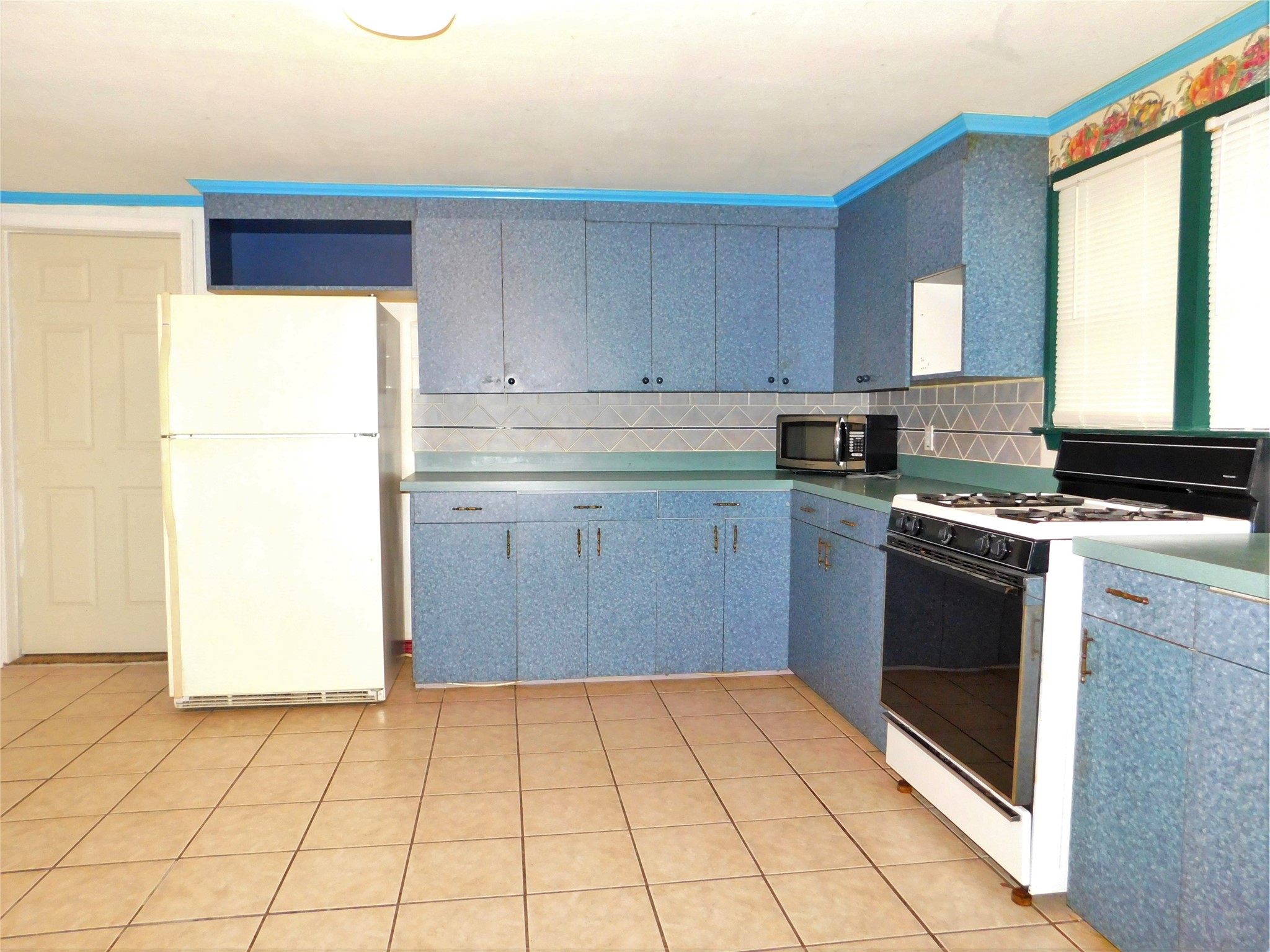 1007 W Collins Street Denton TX 76201