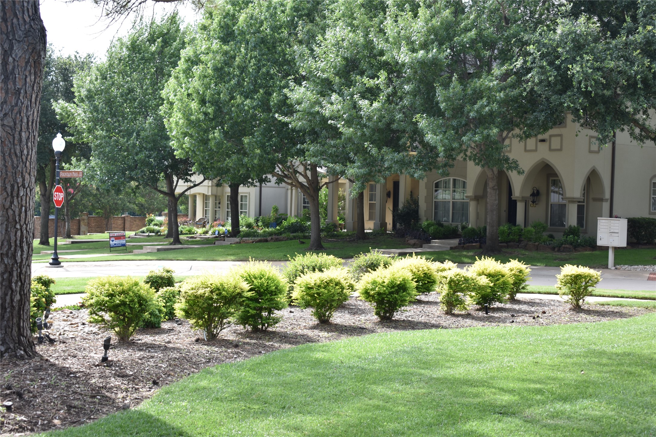 1625 Fountain Pass Drive Colleyville TX 76034