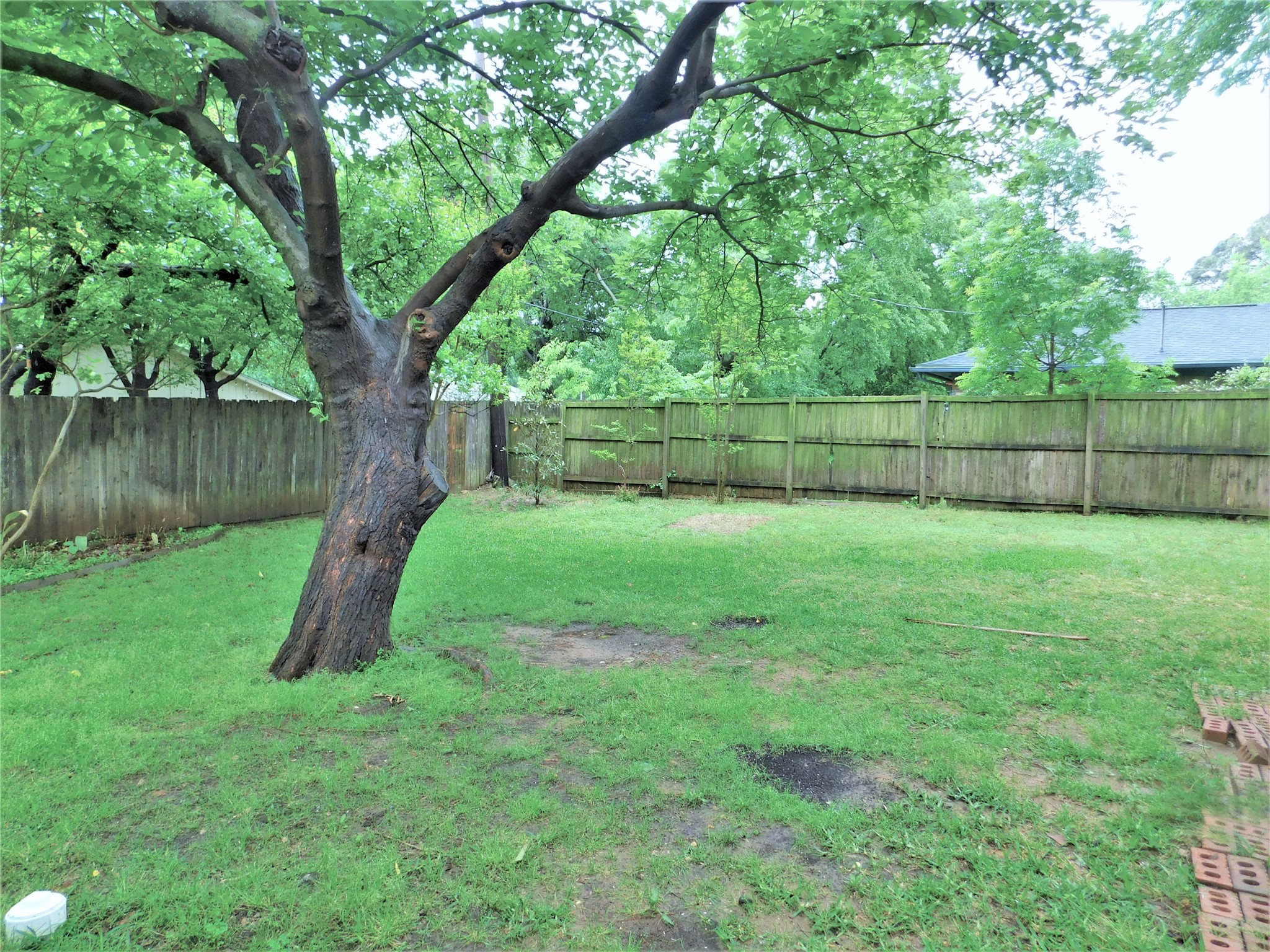 126 Bluebonnet Drive Highland Village TX 75077