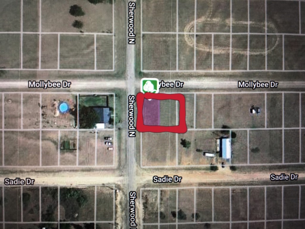 000 N Molly Bee Howardwick TX 79226