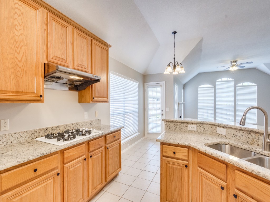 2509 Hunters Run Drive Plano TX 75025