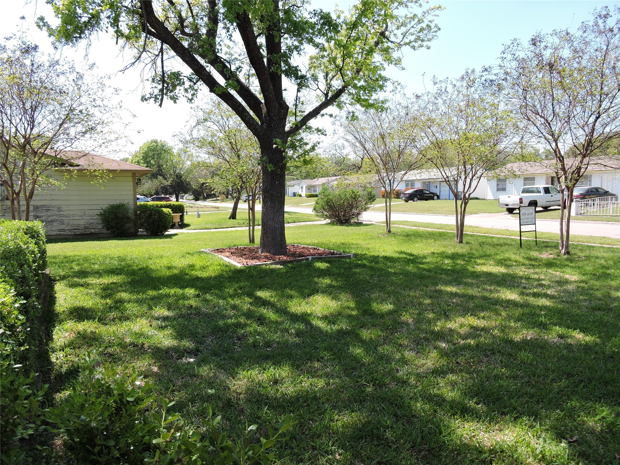12238 Oberlin Drive Dallas TX 75243