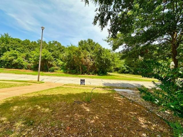 4119 Spring Meadow Lane Flower Mound TX 75028