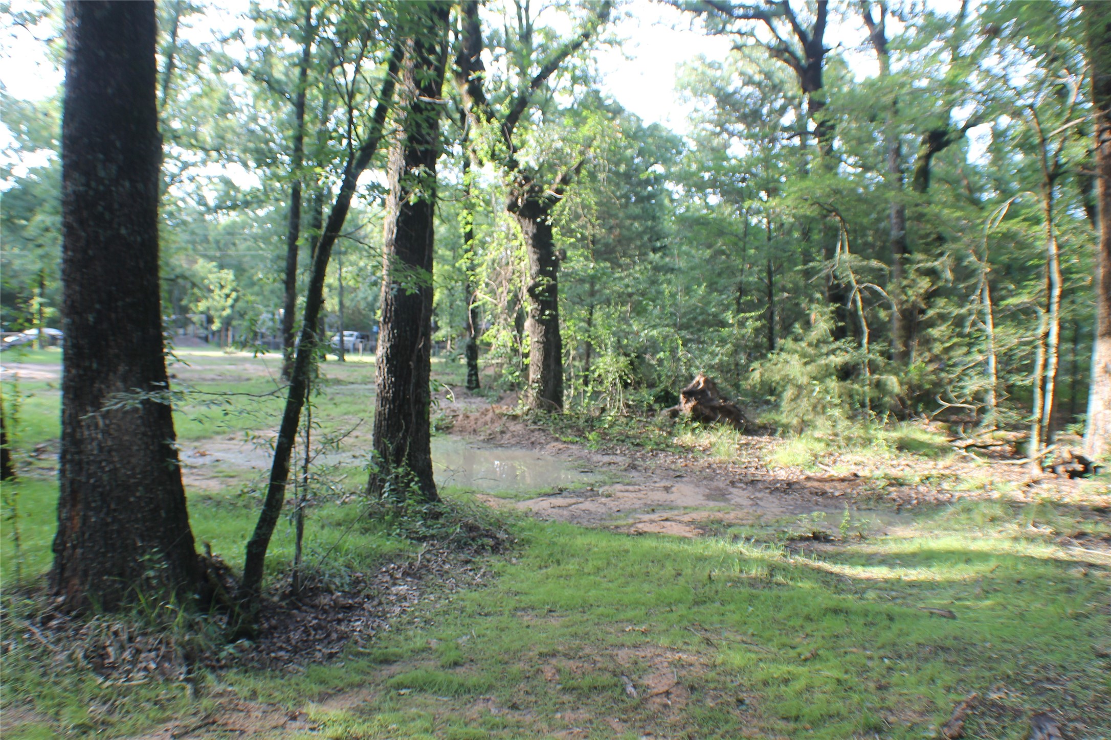 148 Golden Oaks Drive Mabank TX 75156
