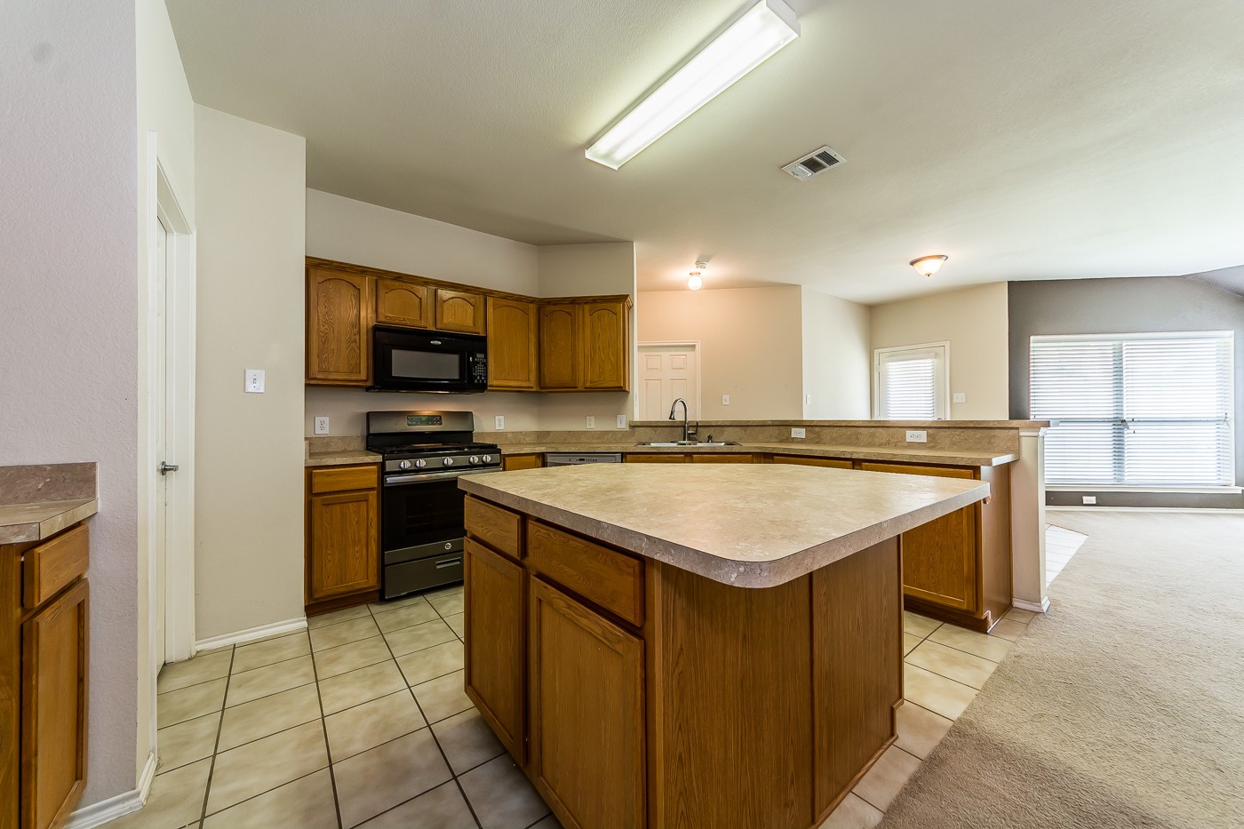 9924 Wild Ginger Drive Mckinney TX 75072
