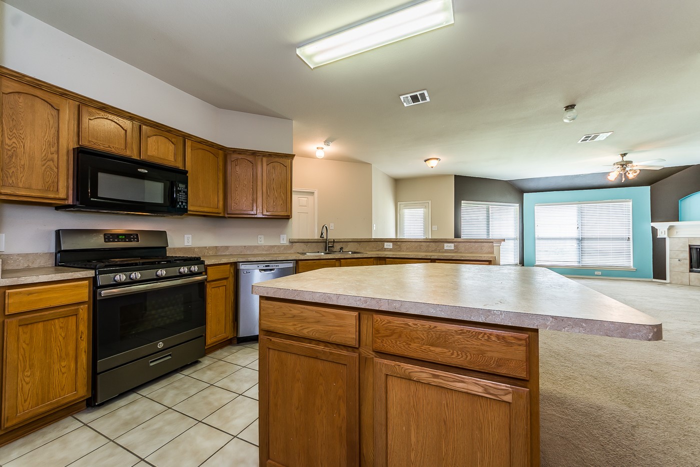 9924 Wild Ginger Drive Mckinney TX 75072