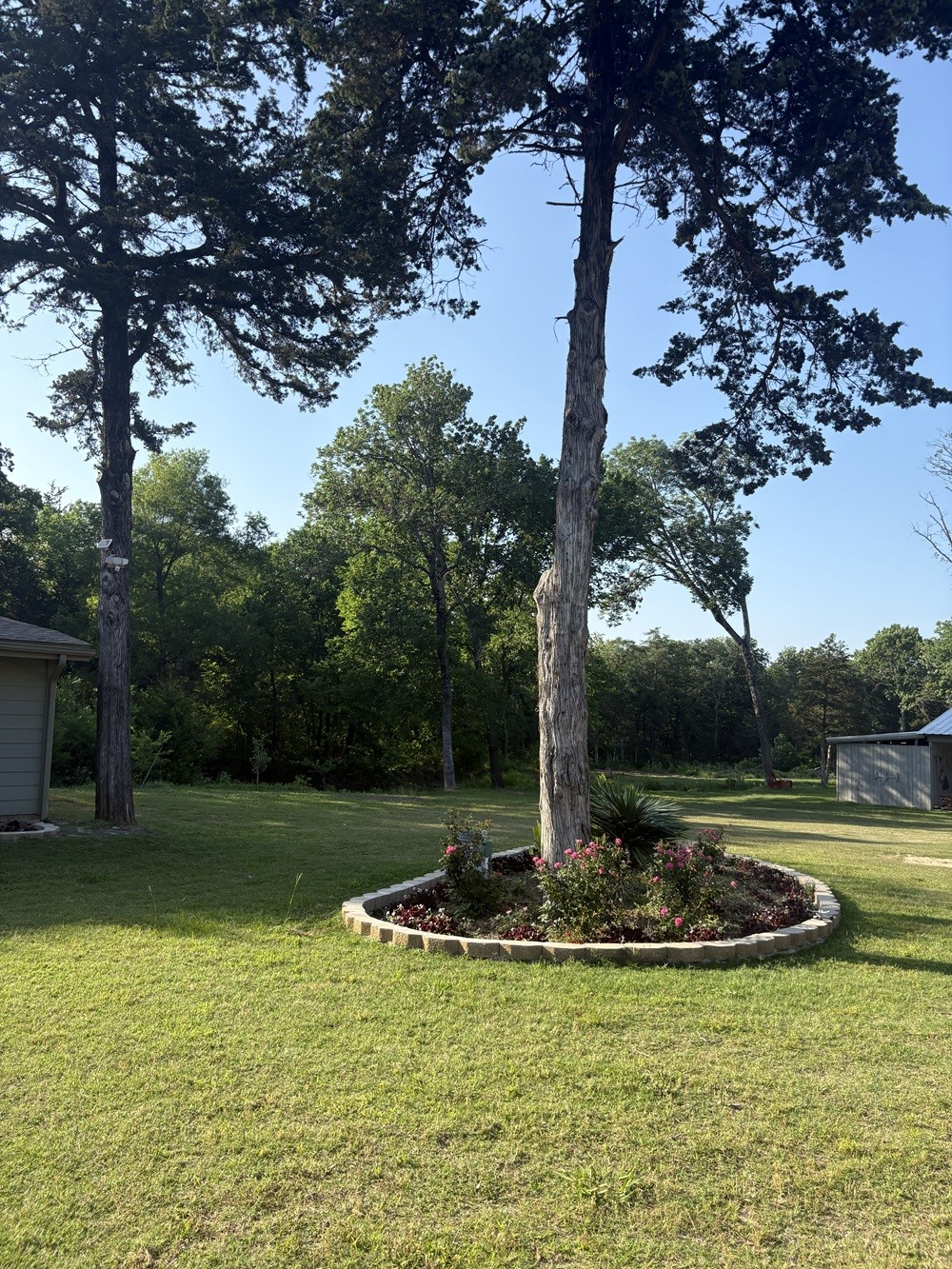 12046 Center Street Quinlan TX 75474
