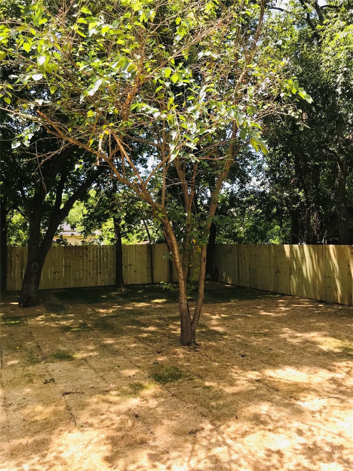 1719 Park Street Commerce TX 75428