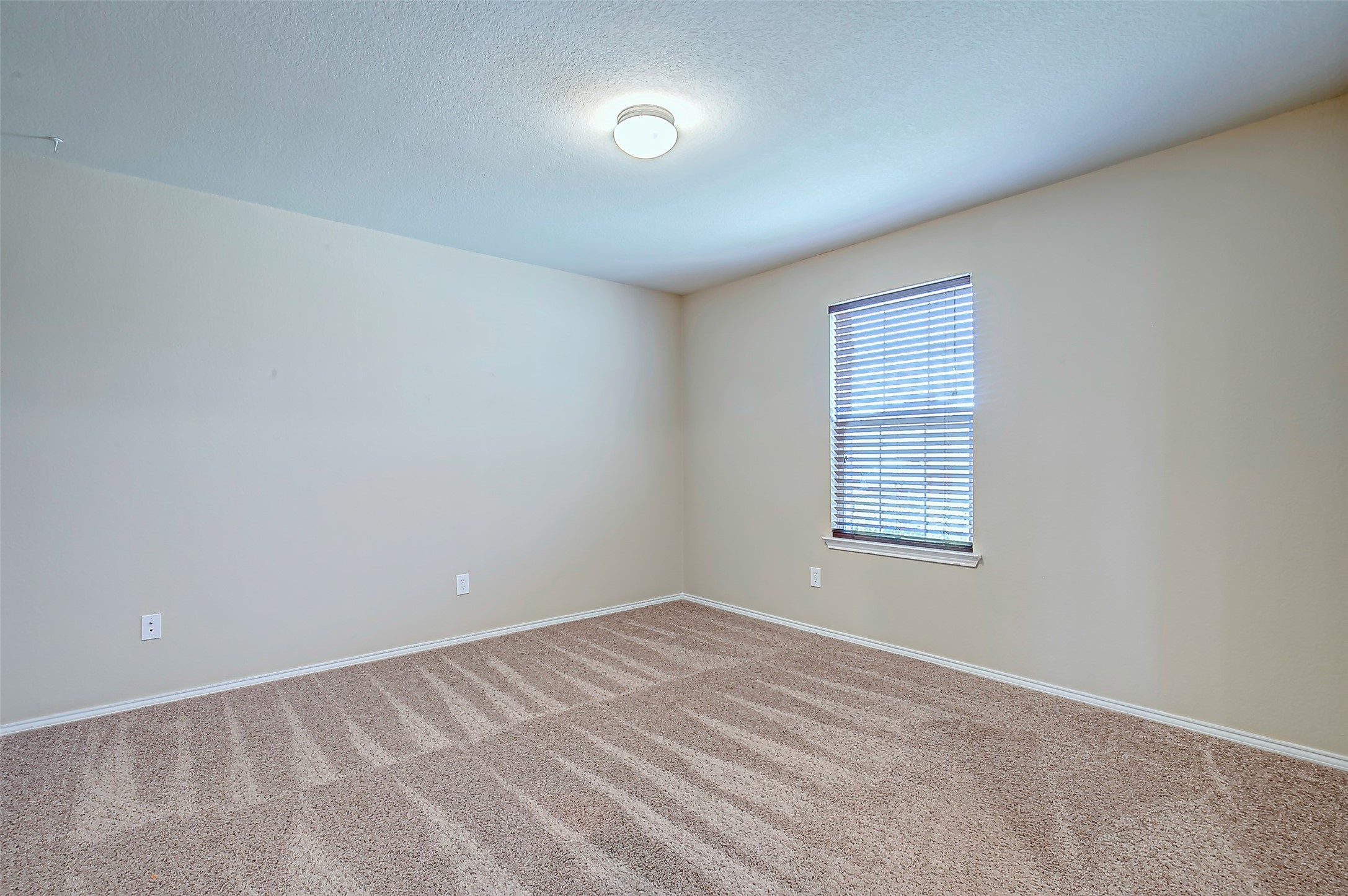 120 Abelia Drive Fate TX 75189
