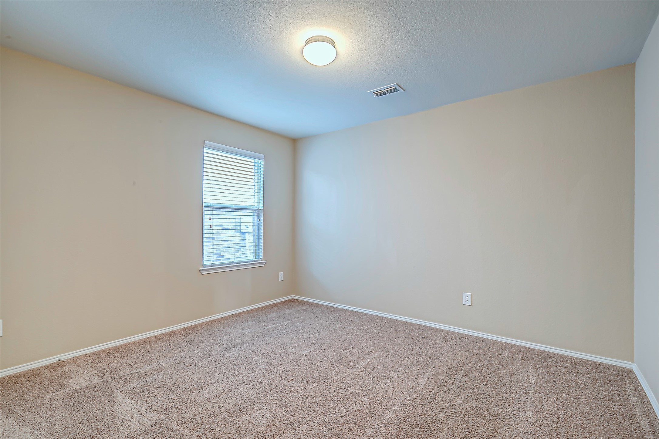 120 Abelia Drive Fate TX 75189