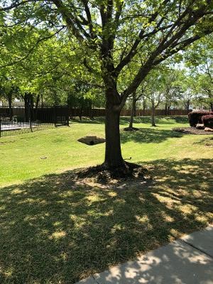 2729 San Felipe Drive Denton TX 76210