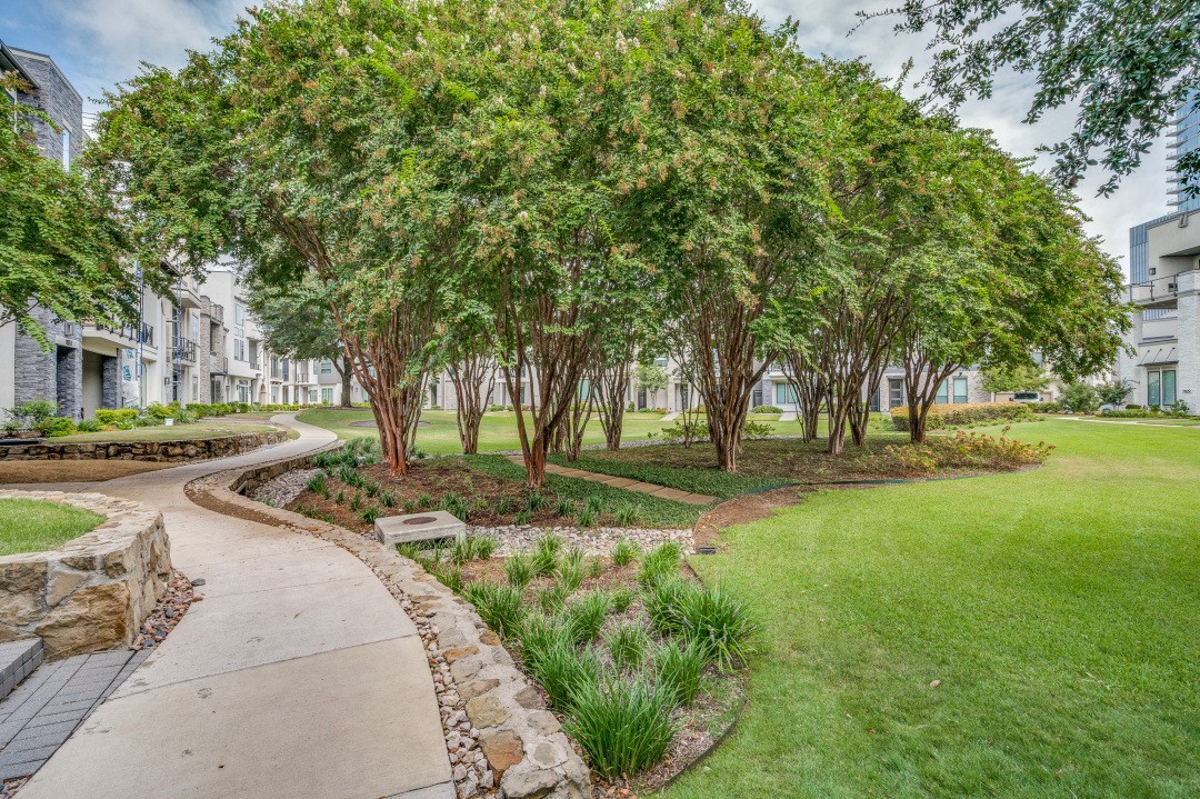 6129 Echelon Way Plano TX 75024