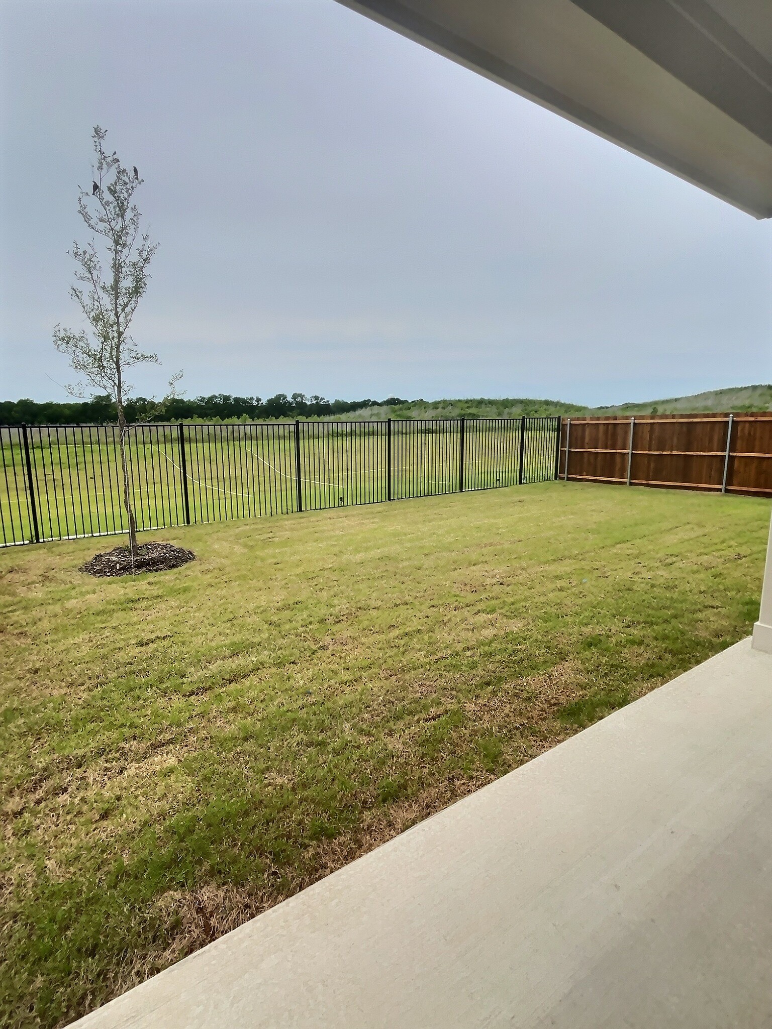 2408 Merganser Street Princeton TX 75407