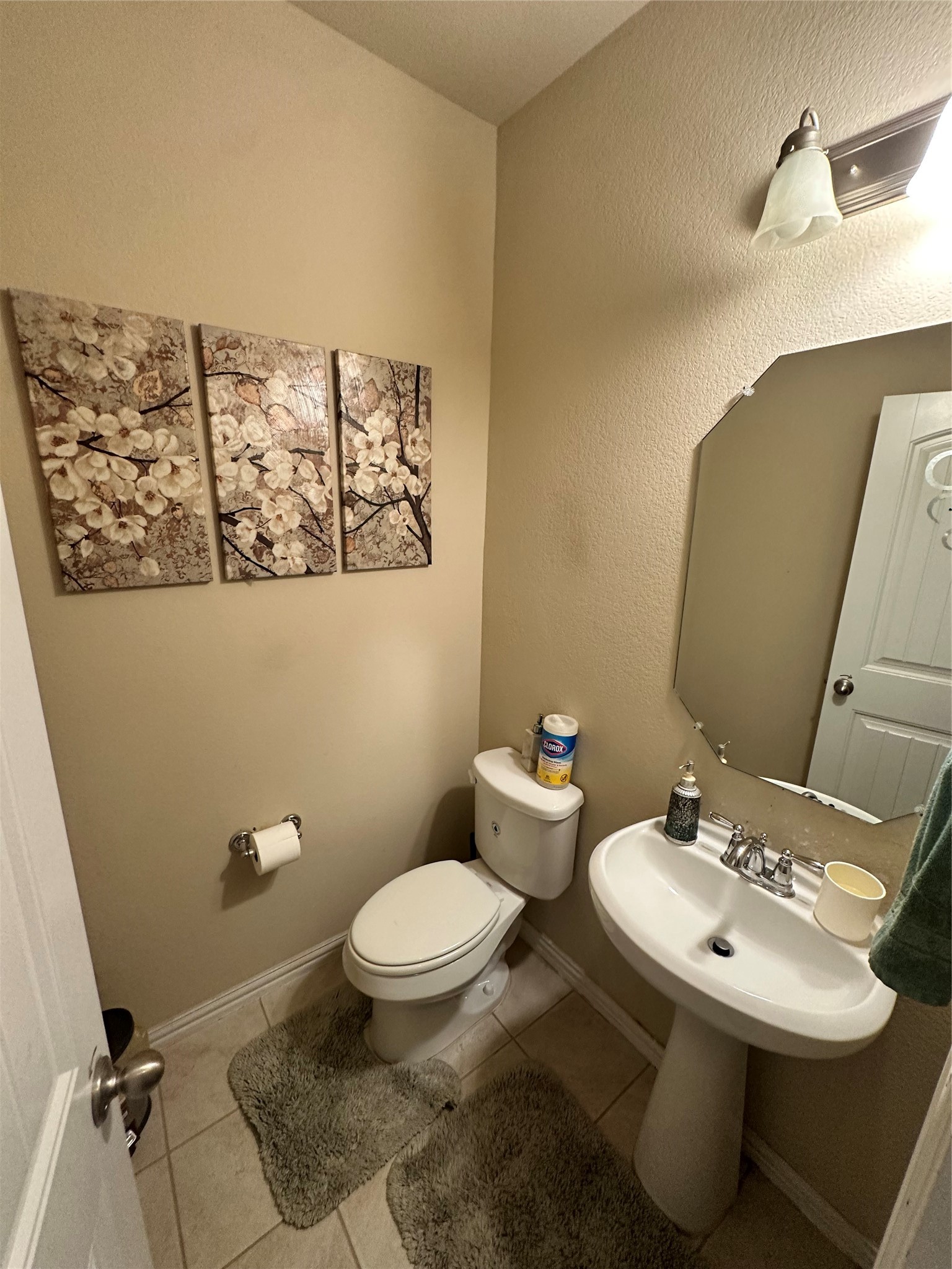 3421 Palm Lake Drive Little Elm TX 75068