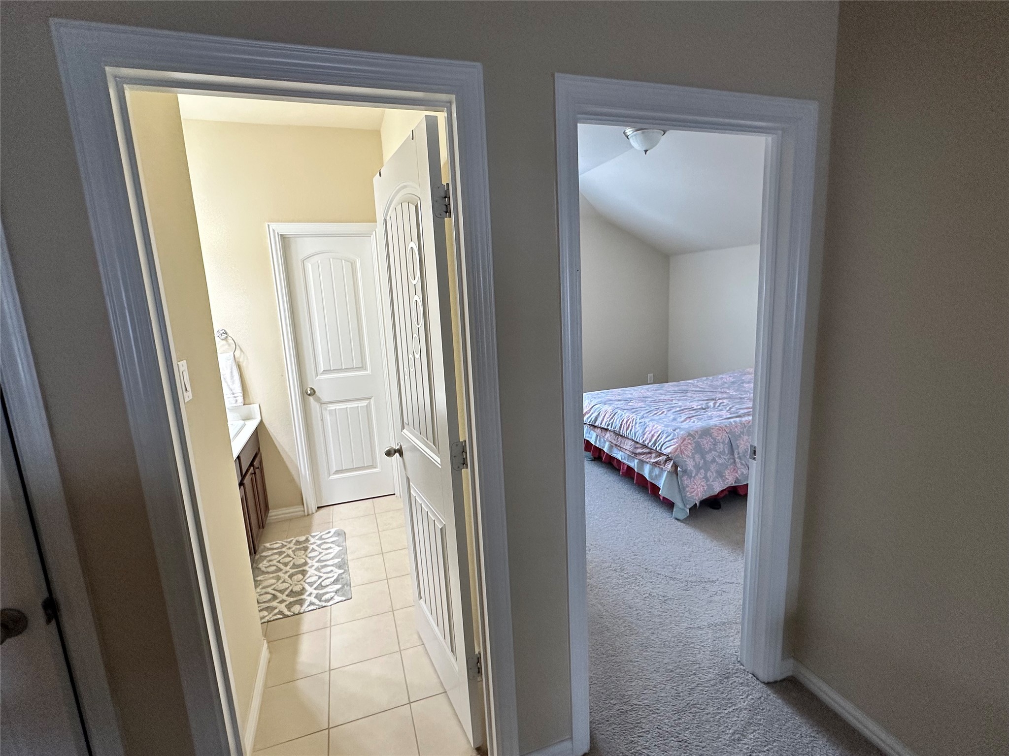 3421 Palm Lake Drive Little Elm TX 75068