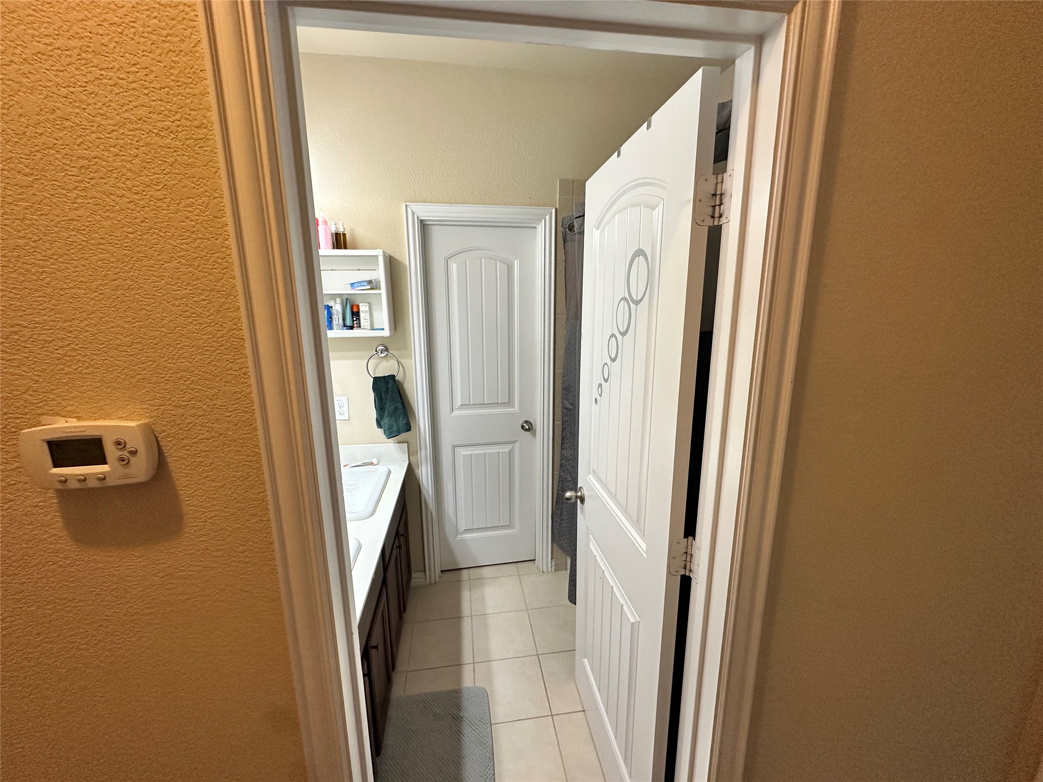 3421 Palm Lake Drive Little Elm TX 75068