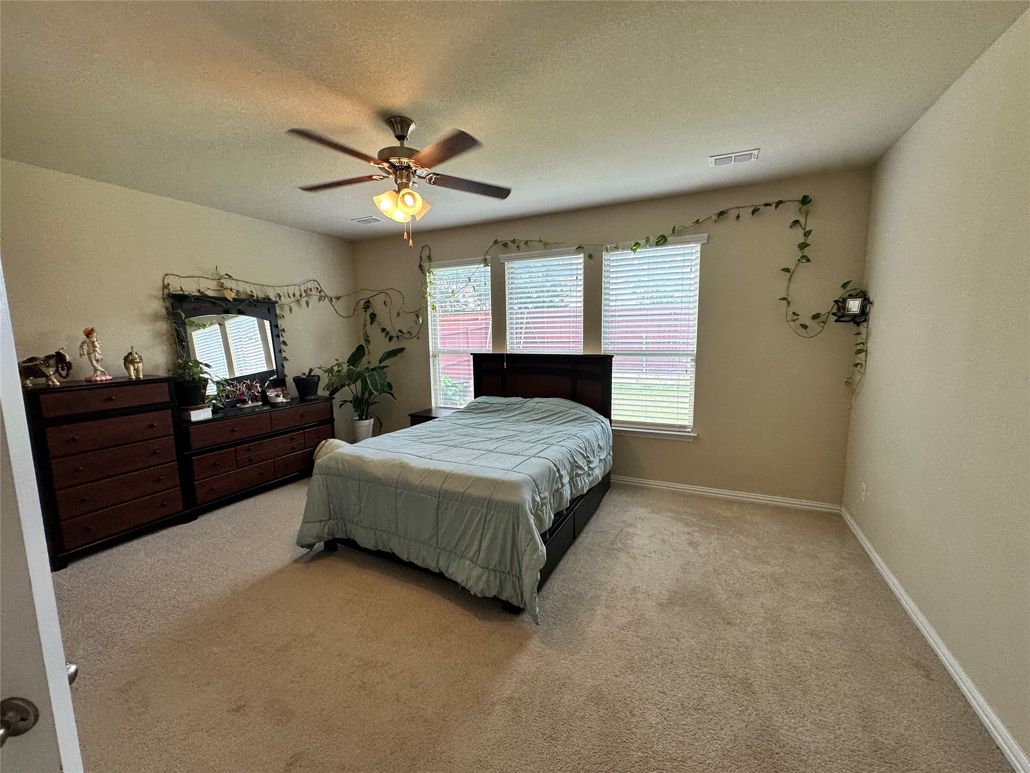 3421 Palm Lake Drive Little Elm TX 75068