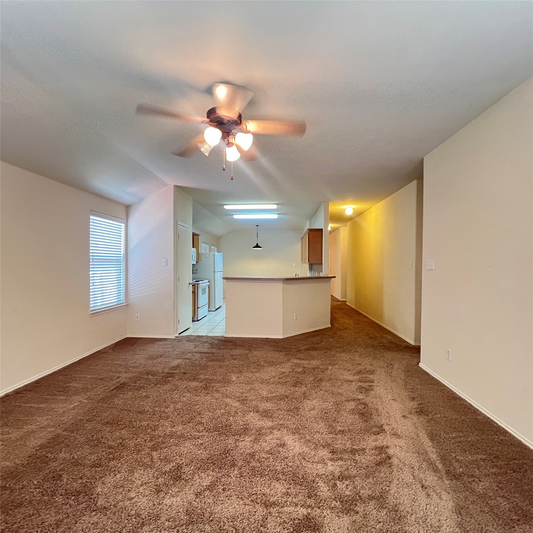 2049 Helmoken Falls Drive Anna TX 75409