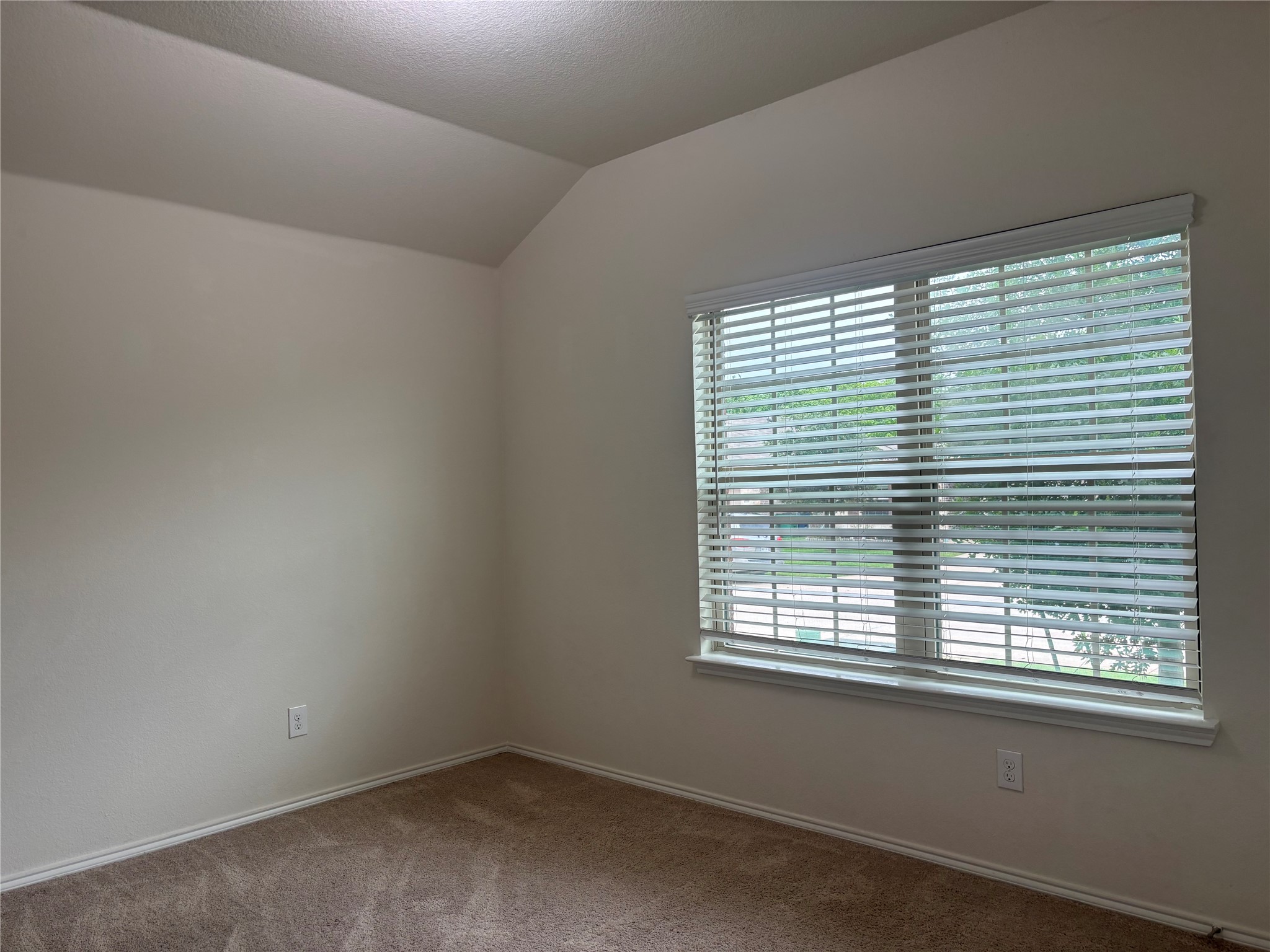 2065 Alamandine Avenue Cross Roads TX 76227
