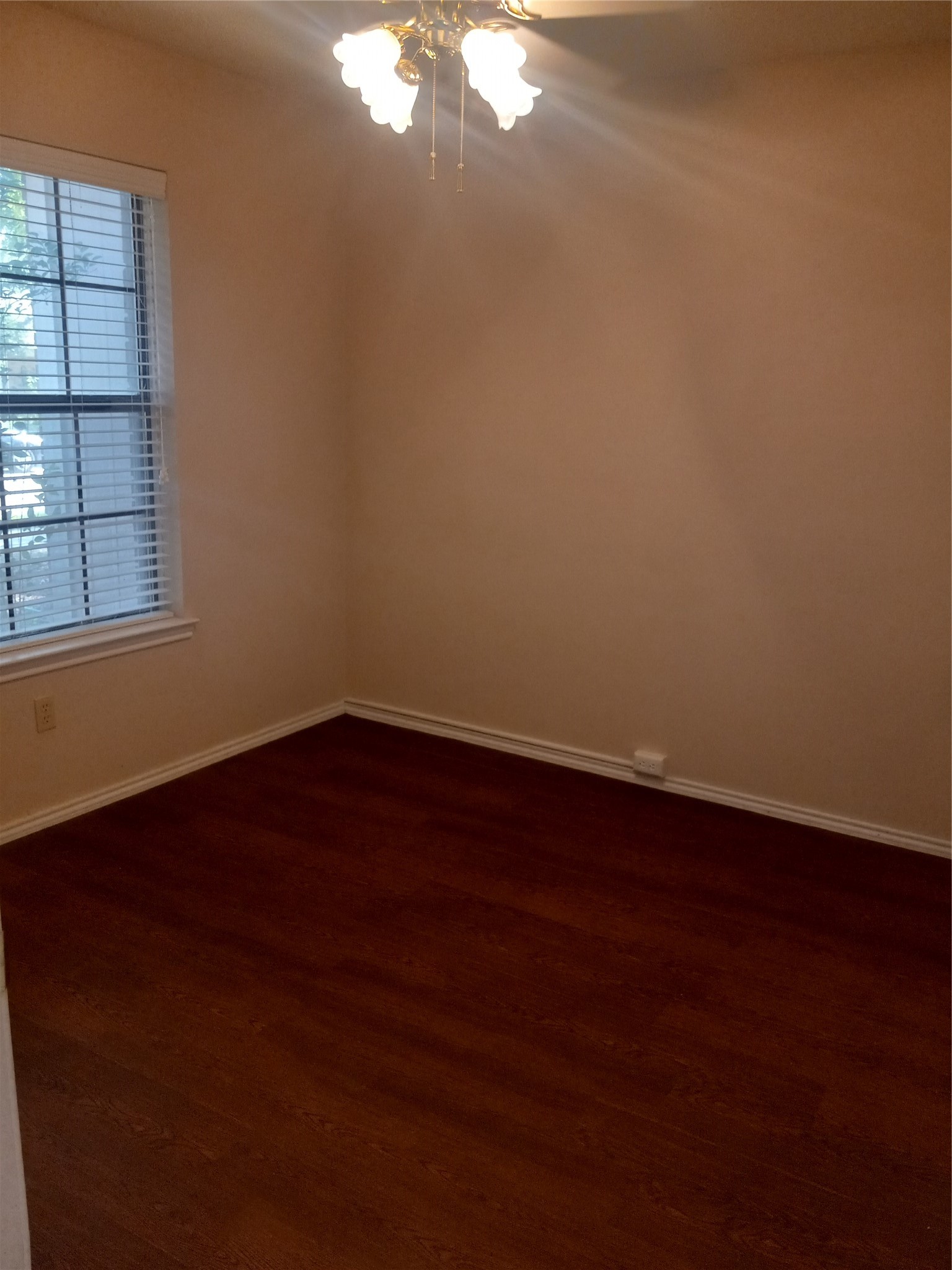557 Grace Coppell TX 75019
