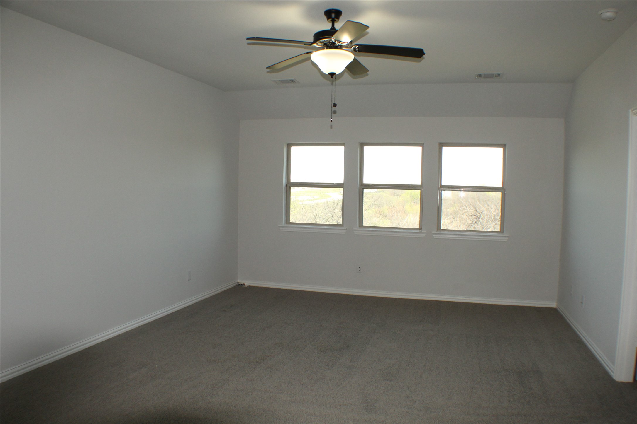 5212 Shadetree Street Little Elm TX 76227