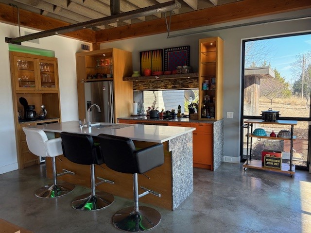 6448 County Road 437 Princeton TX 75407