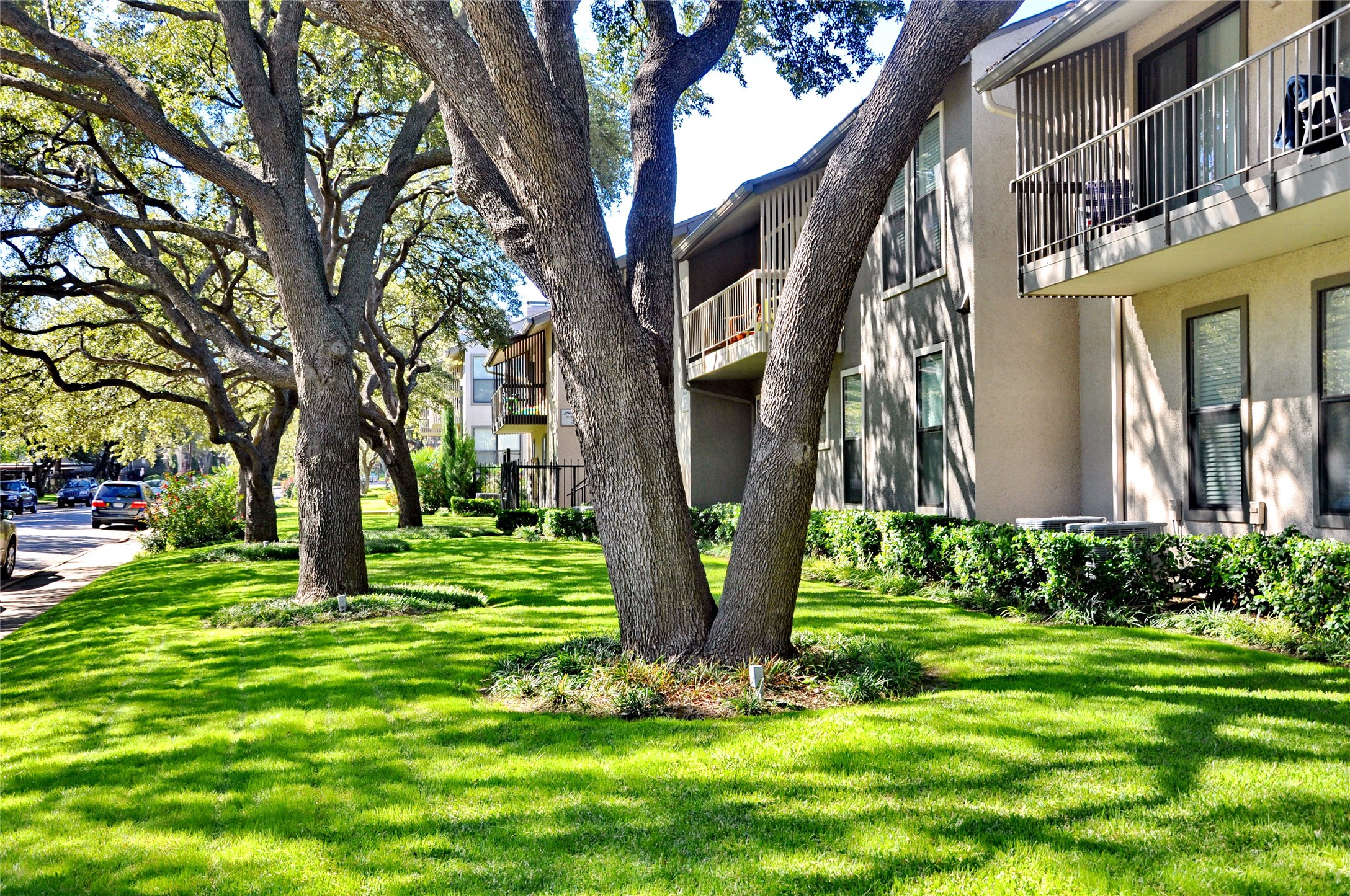 5909 Birchbrook Drive Dallas TX 75206