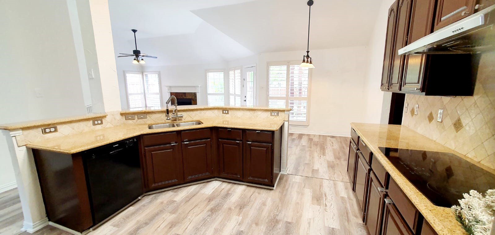 9720 Windy Hollow Drive Irving TX 75063