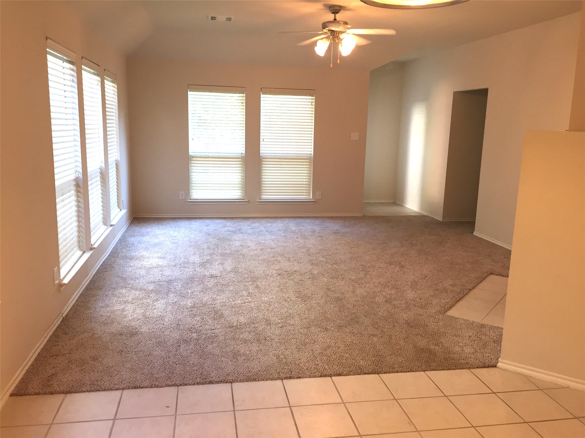 9837 Meadow Rue Drive Mckinney TX 75072