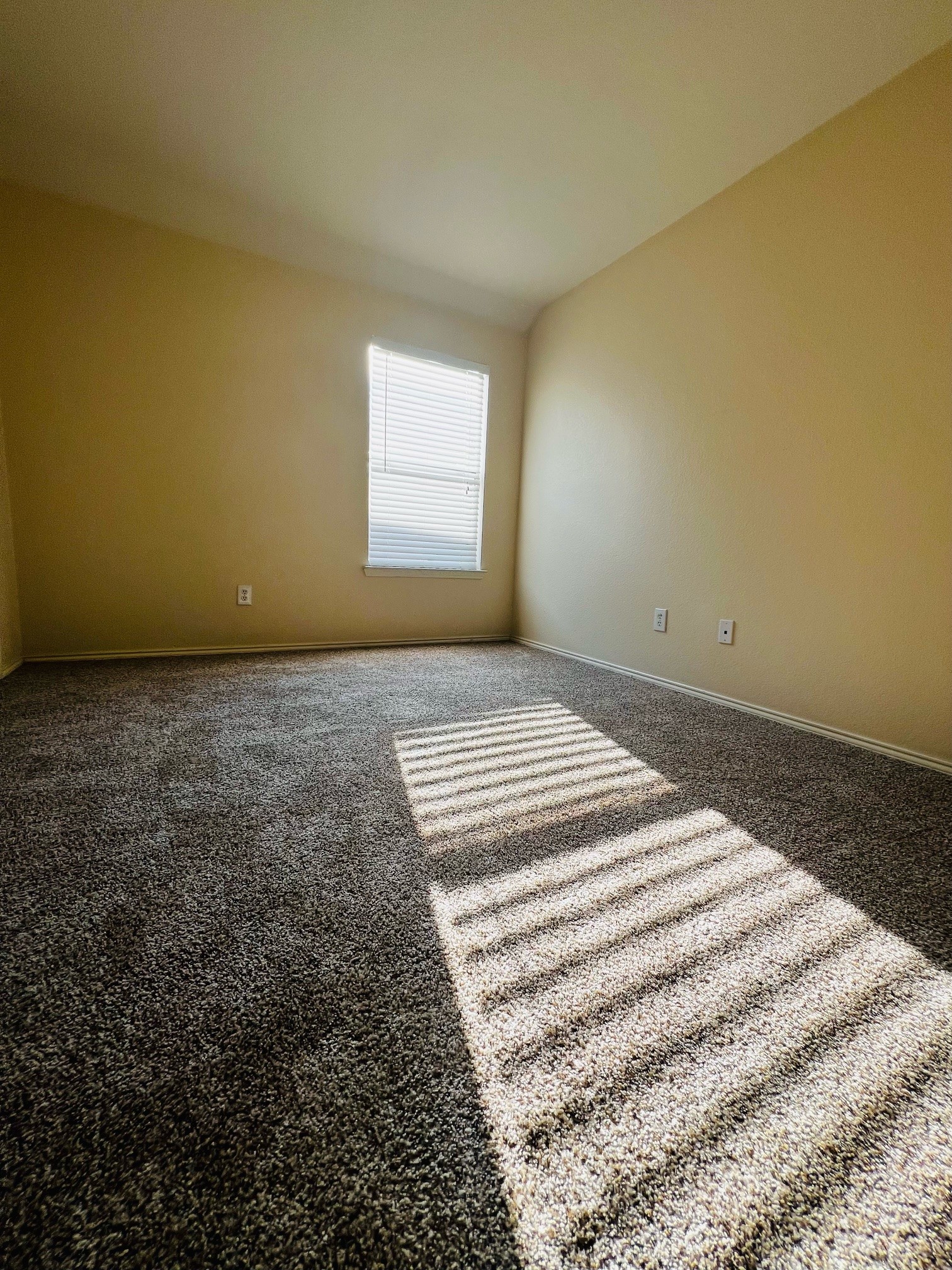 512 Mustang Trail Celina TX 75009