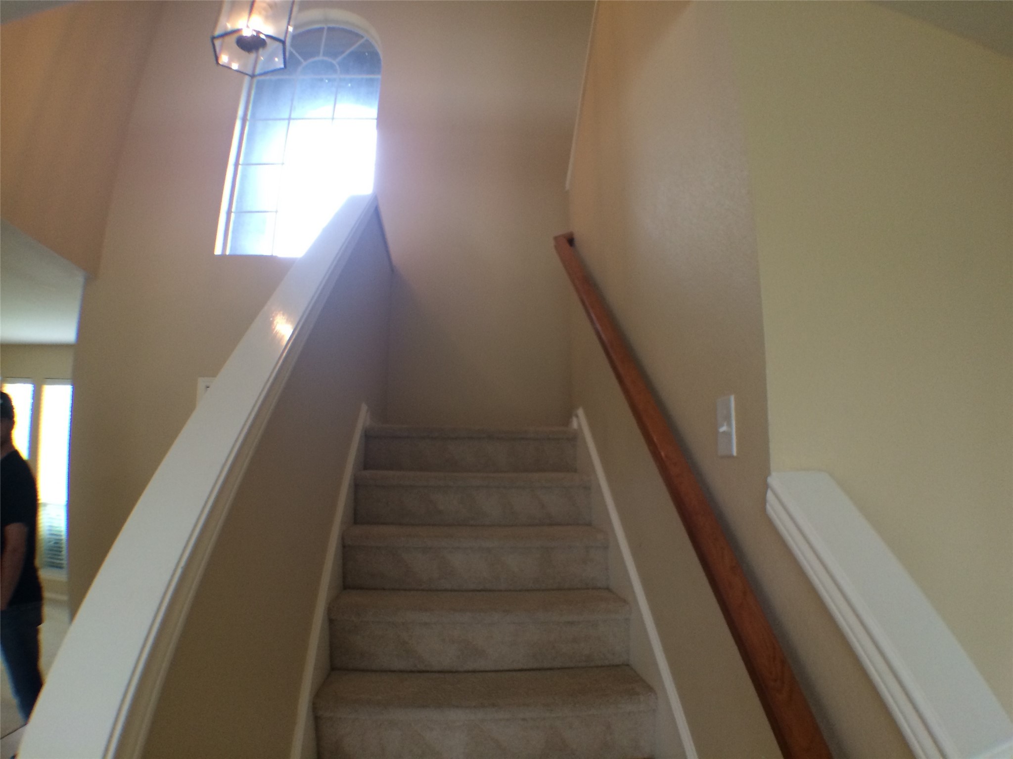 2509 Nueces Cove Mckinney TX 75072
