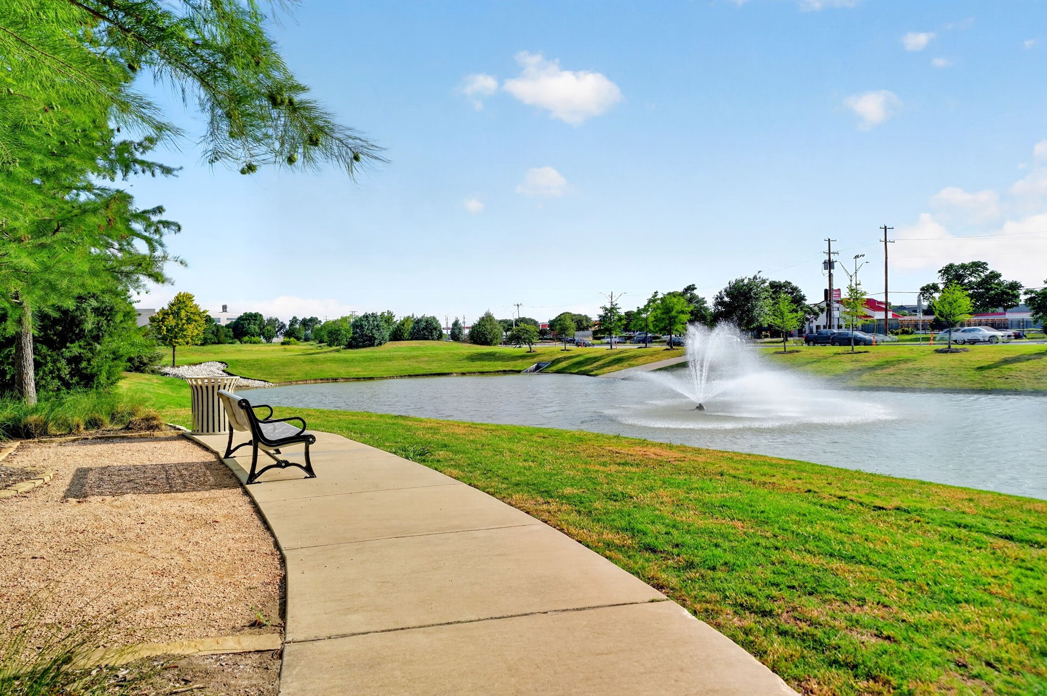17311 Texas Pistache Drive Dallas TX 75252