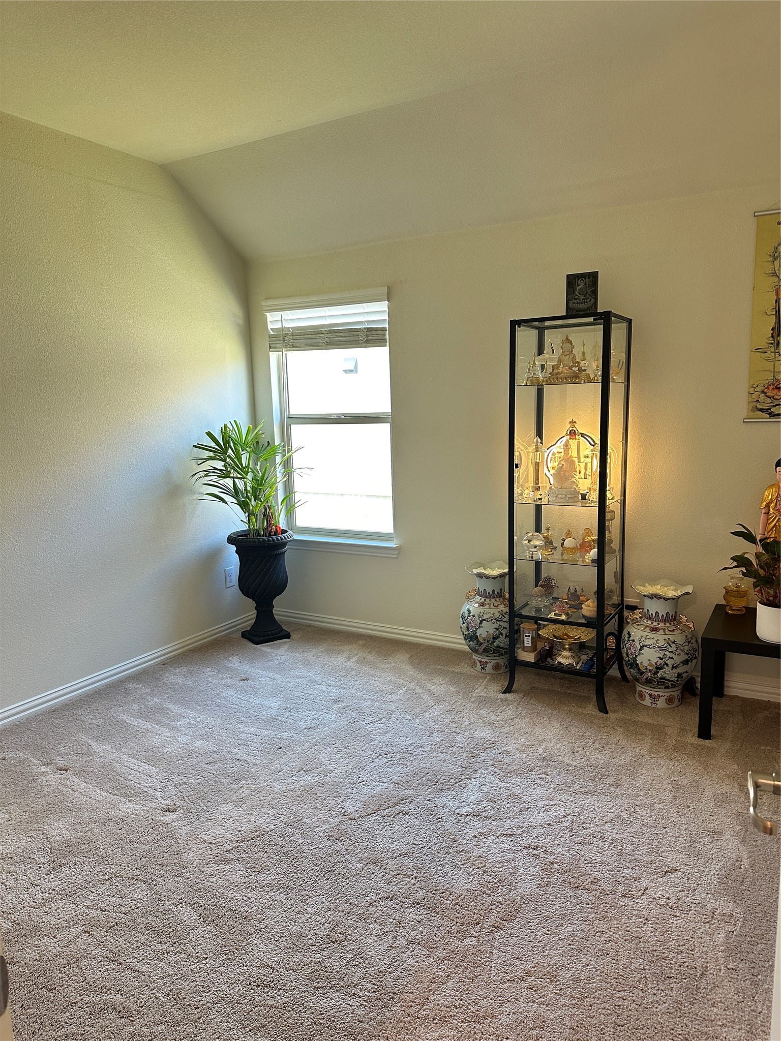 1313 Forest Haven Drive Anna TX 75409