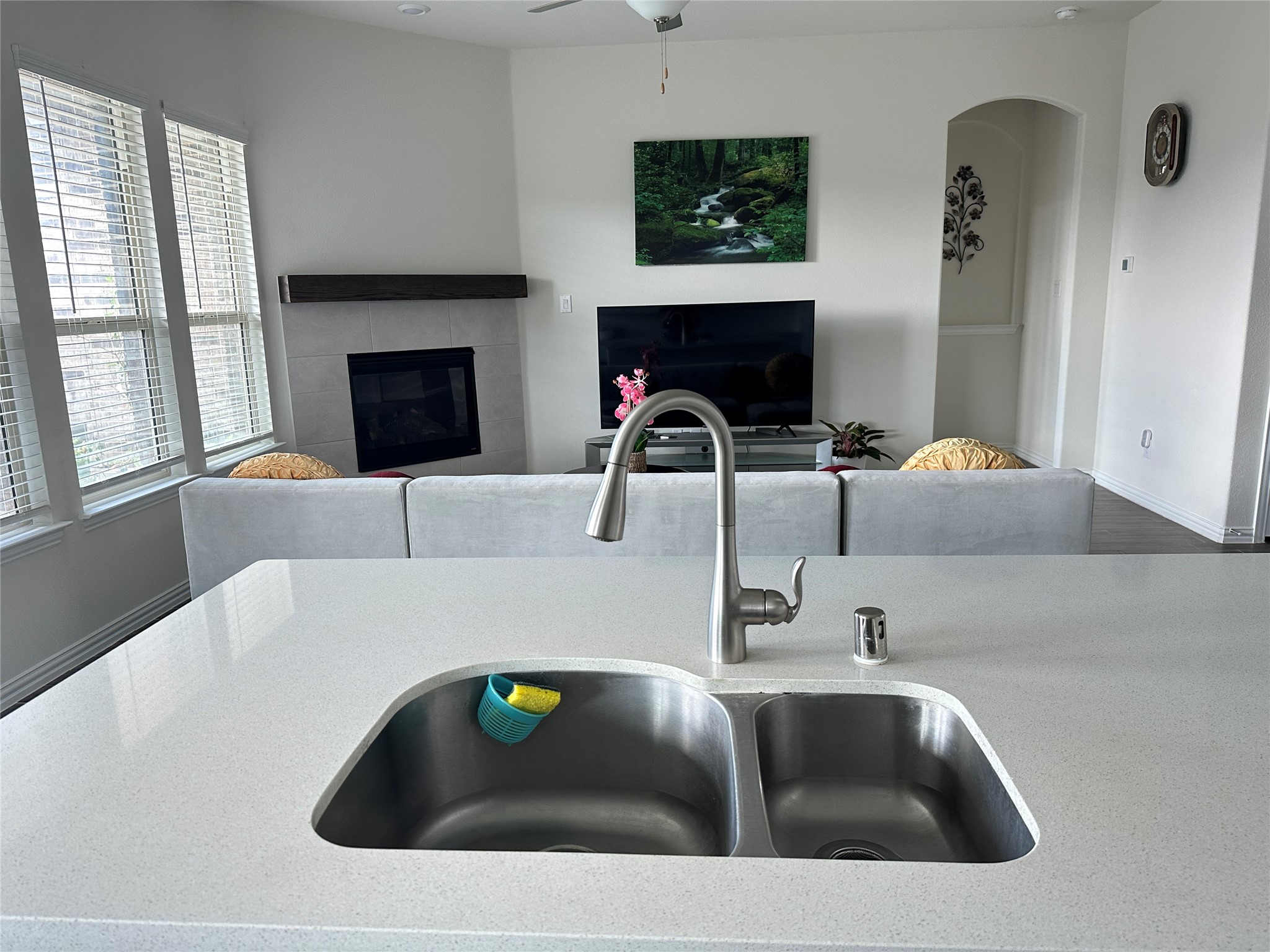 1313 Forest Haven Drive Anna TX 75409