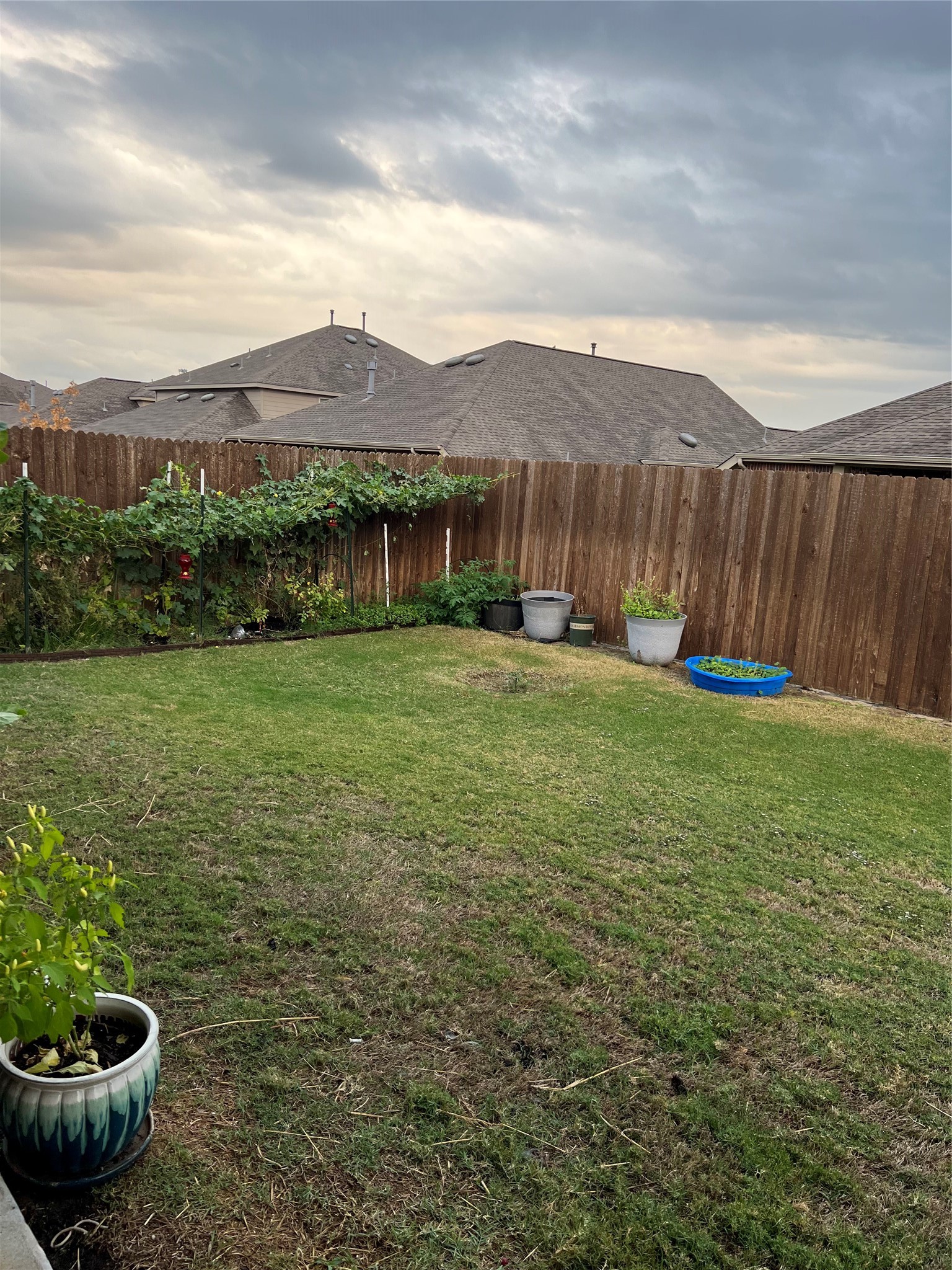 1313 Forest Haven Drive Anna TX 75409