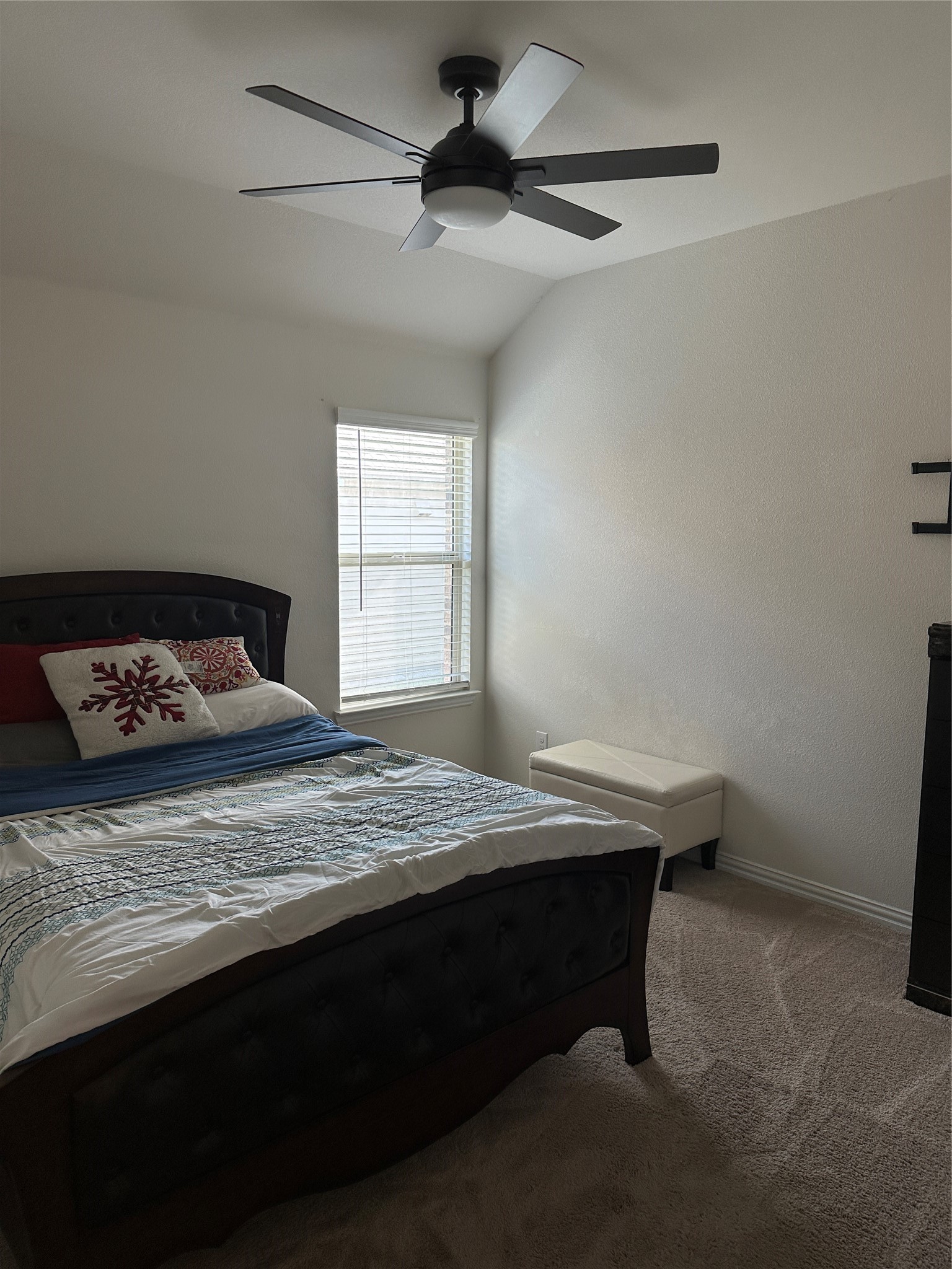 1313 Forest Haven Drive Anna TX 75409
