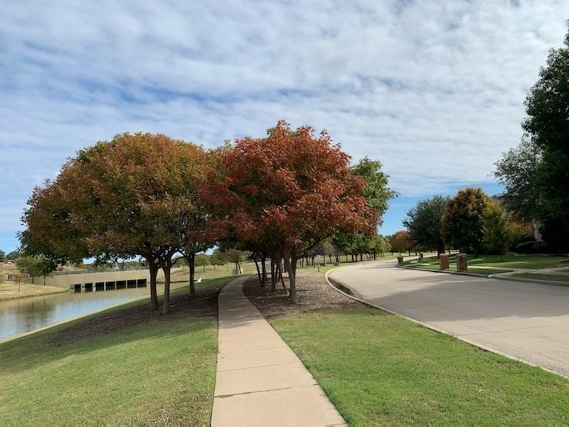 1096 Wetland Drive Frisco TX 75033