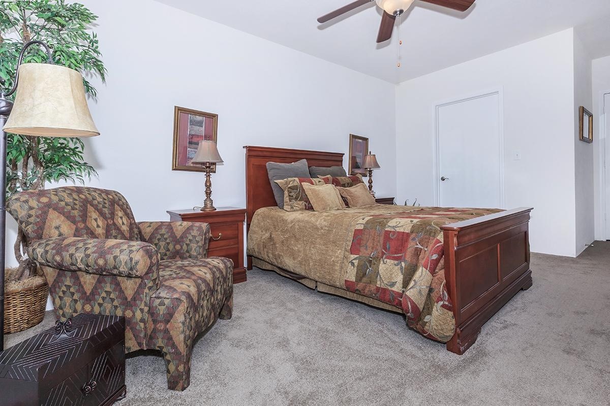 10965 S Gessner Drive Houston TX 77071