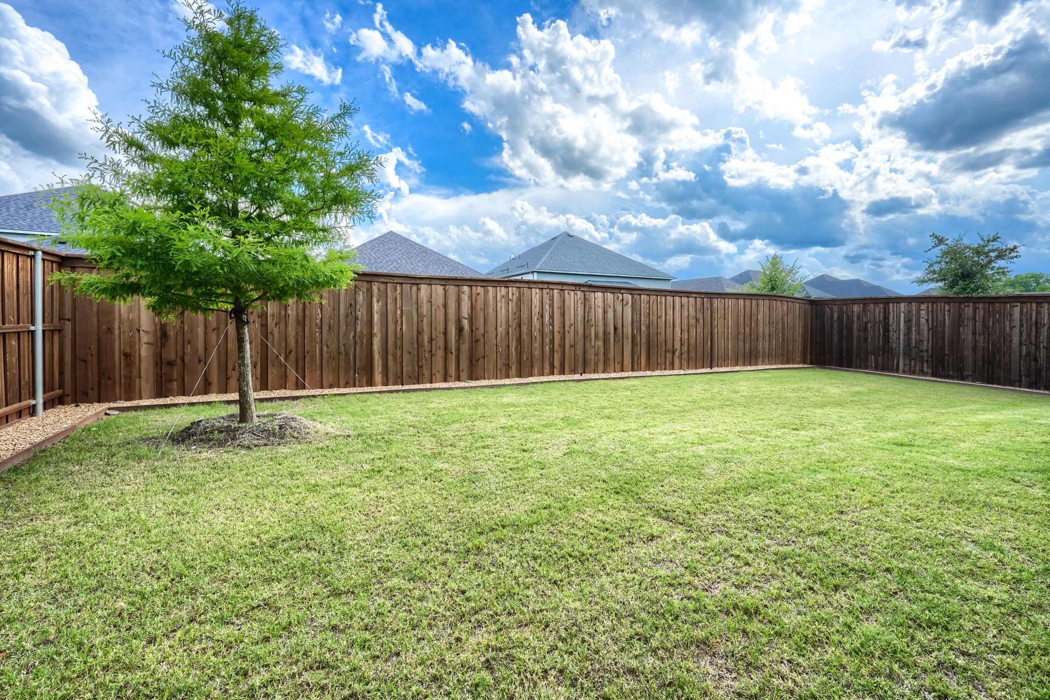 2009 Brookhurst Street Celina TX 75009