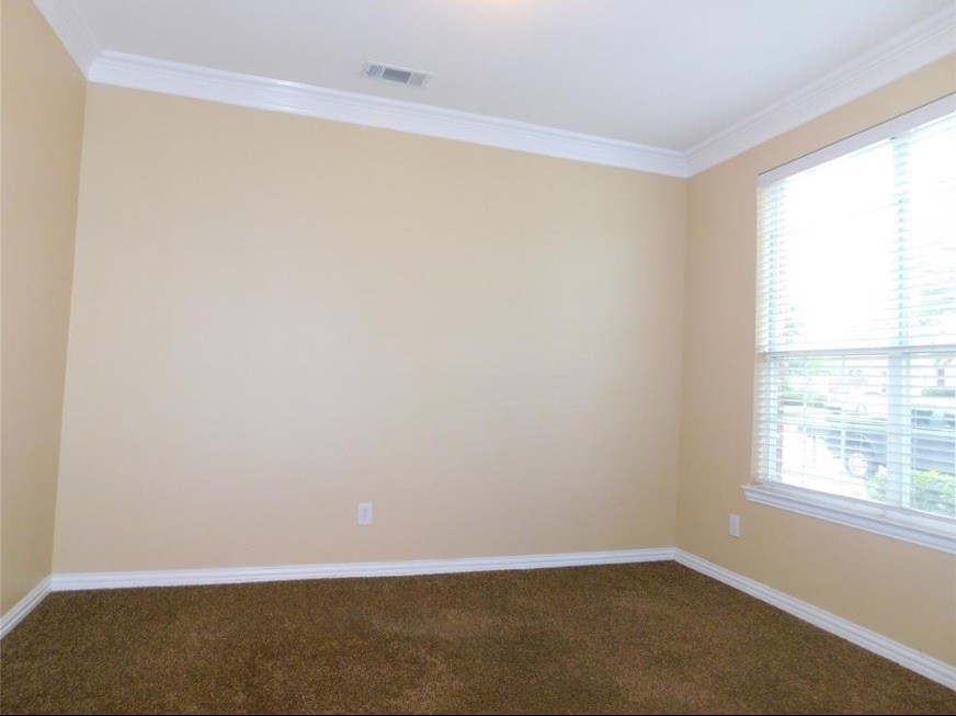 740 Peco Street Lantana TX 76226