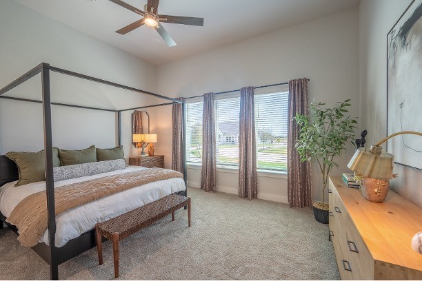 3135 Winter Rose Way Arlington TX 76005