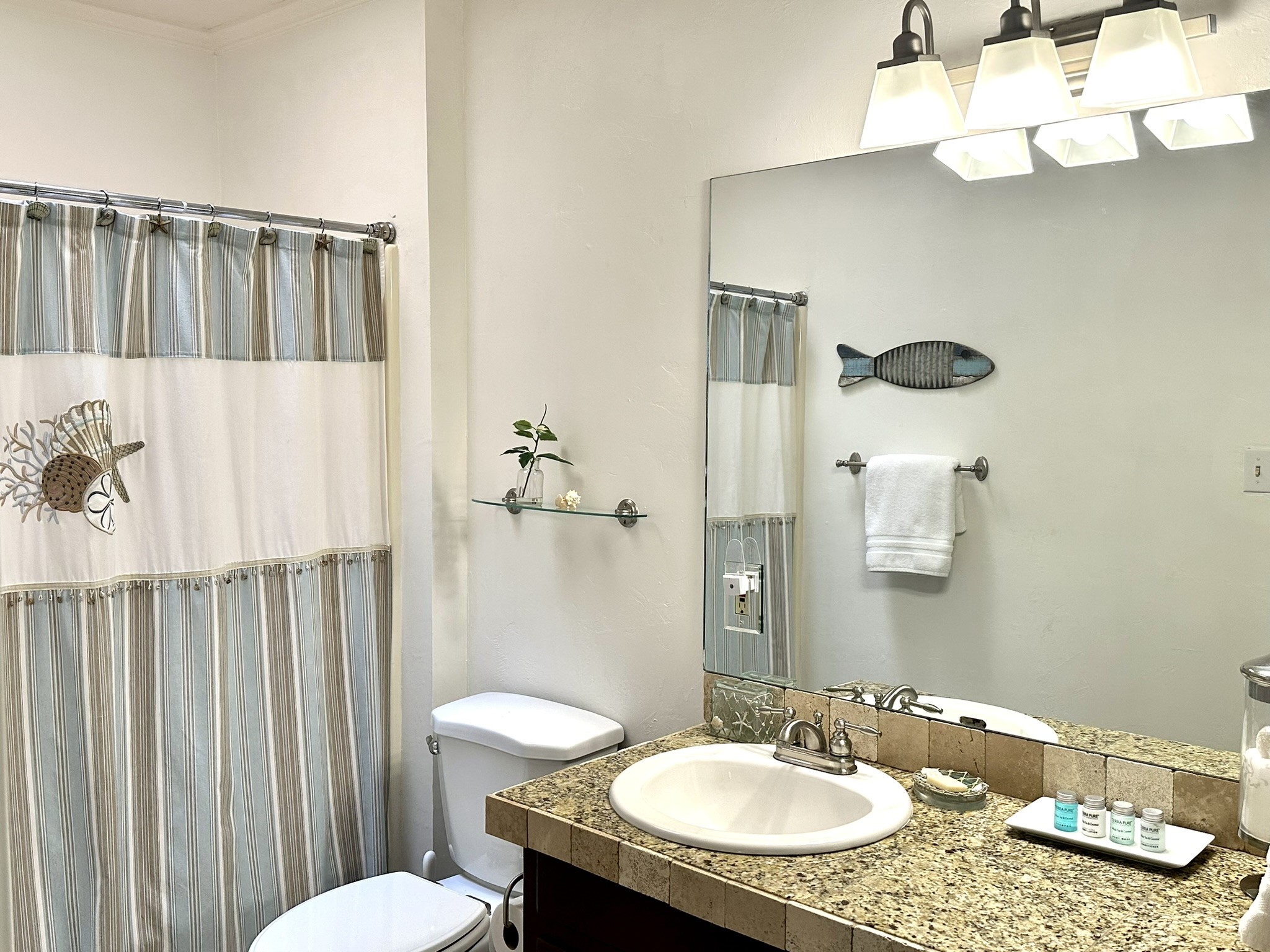 3713 Lake Vista Court Granbury TX 76049