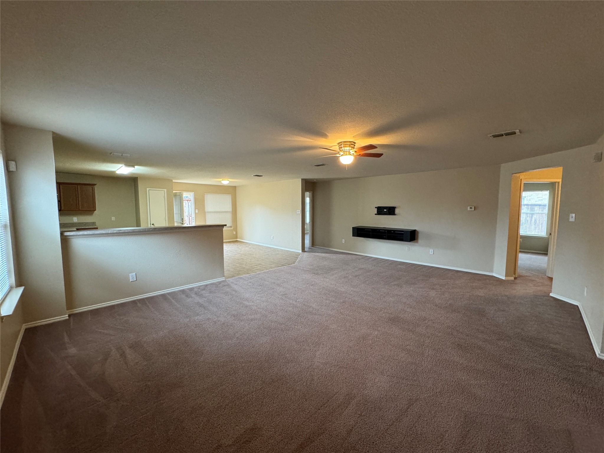 4642 Elm Point Drive Balch Springs TX 75180