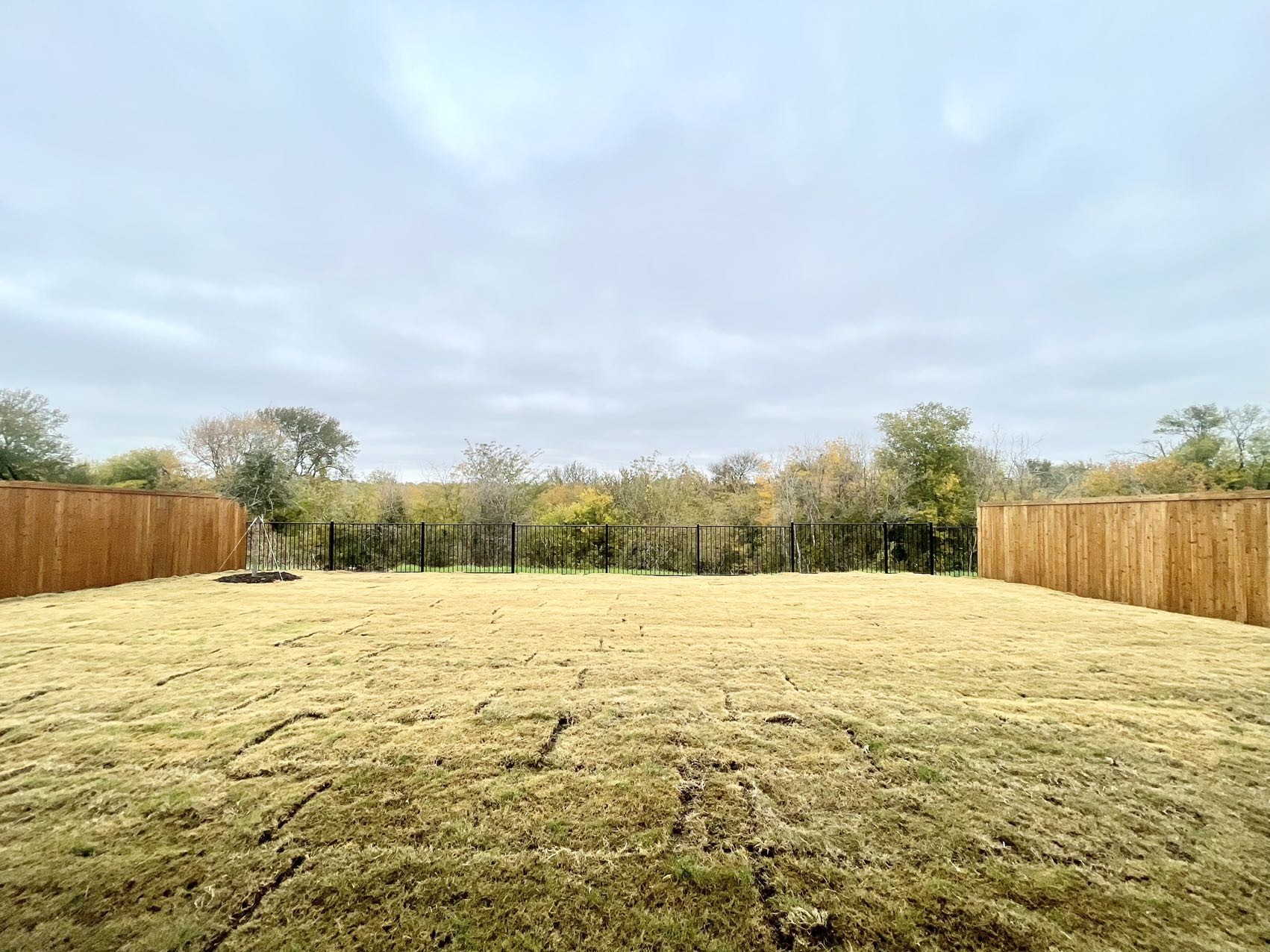 1632 Estivella Drive Little Elm TX 75068