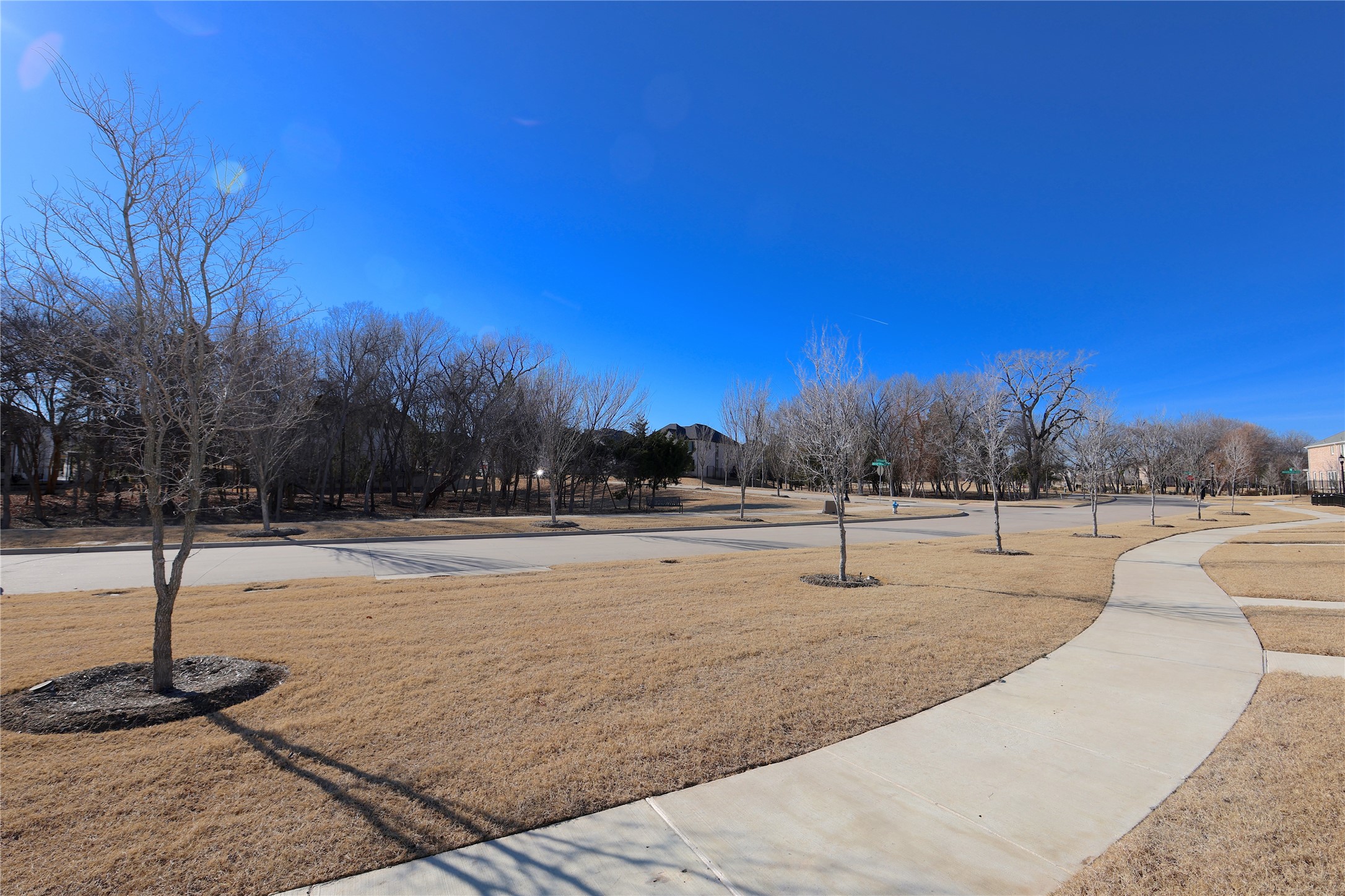 8523 Mint Mews Frisco TX 75035